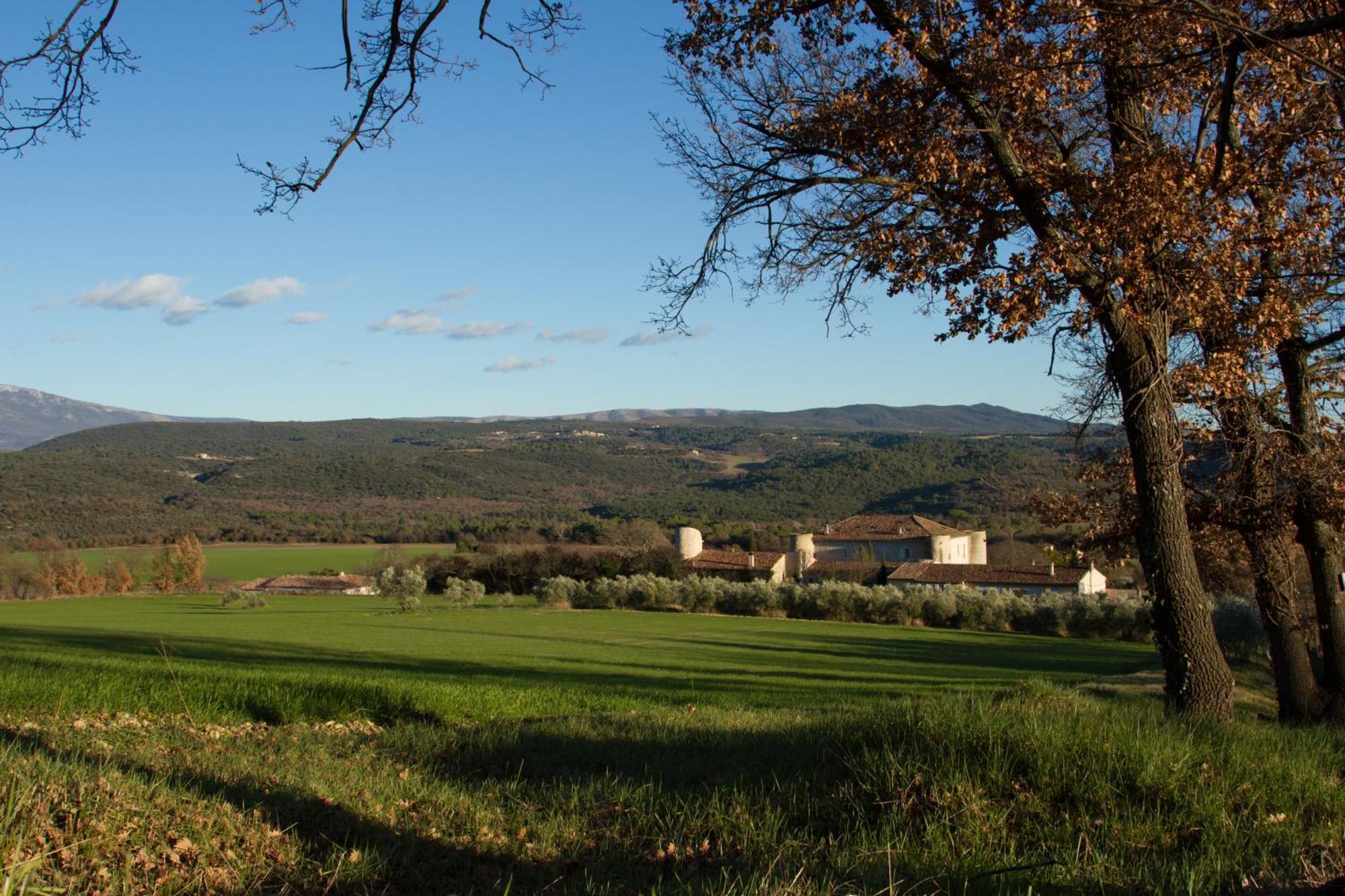 La Colombiere Du Chateau Saint-Laurent-du-Verdon Exteriör bild